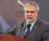 Govt to give maximum support to PIA: Dar