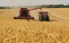 普京：俄罗斯今年粮食丰收 将持续供应非洲