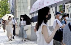日本女性工作人数升至历史峰值 多数人兼顾工作育儿
