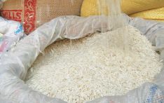 印度下令停止出口大米 尼泊尔贸易商提高大米价格