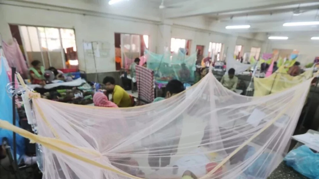 DGHS fears record dengue cases in August
