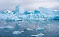 最新研究报告：南极正从降低全球气温的“冰箱”变“散热器”