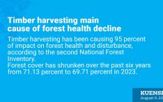 Timber harvesting main cause of forest health decline