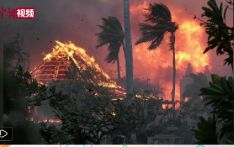 夏威夷野火已致89人死亡 遇难者人数预计仍将上升