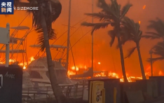 夏威夷卫生局警告：火灾后有毒物质污染大气和水源 威胁健康