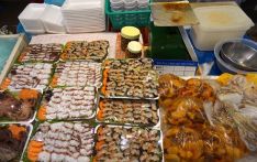 韩国从日本进口的鱼贝类连续4个月减少 消费者担忧核污染水排海影响