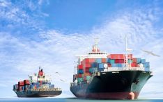 德媒：中国产品占欧盟进口份额大幅上升