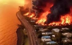 遭遇百年来最致命野火，夏威夷大火何以失控