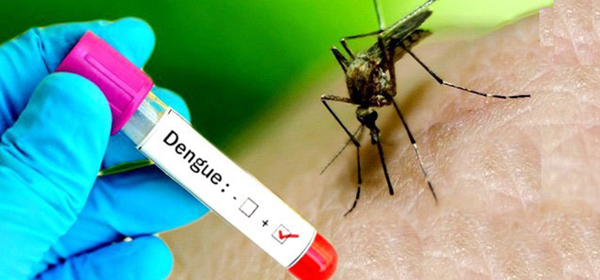 1661957108_dengue_डेंगु-1200x560