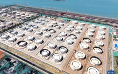 国内沿海港口最大的单体油品库区在山东青岛投产运营