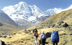 Annapurna collects Rs. 13 million tourism revenue
