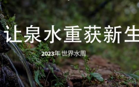 2023 年世界水周: 让泉水重获新生