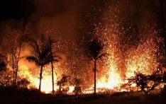 美媒推测夏威夷大火原因：裸露的电线、倾斜的电线杆