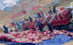 तिब्बती मार्ग हुँदै खाद्यान्न हिल्सा पुग्यो