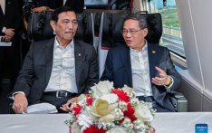Jakarta-Bandung High-Speed Railway successful example of regional cooperation towards modernization -- Chinese premier