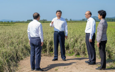 Xi visits flood-affected villagers in NE China's Heilongjiang Province