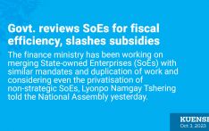 Govt. reviews SoEs for fiscal efficiency, slashes subsidies