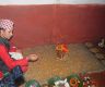 Dashain begins with sowing of Jamara at Dashain Ghar