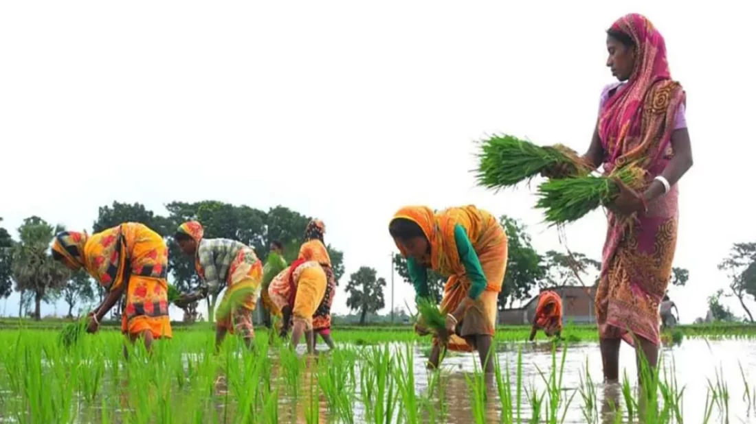 Bangladesh achieves self-sufficiency in four key food items