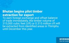 Bhutan begins pilot timber extraction for export