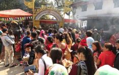 Maha Ashtami, eighth-day of Bada Dashain, being observed today