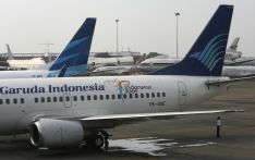 Indonesia launches 1st commercial flight with palm oil-blended jet fuel