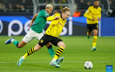 Dortmund see off Newcastle in UEFA Champions League