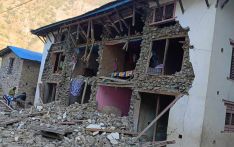 Livestock worth Rs 19 million lost due to Jajarkot earthquake