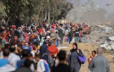 Palestinian death toll in Gaza surpasses 13,000