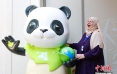 中国角”熊猫玩偶受各国人士追捧