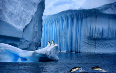 南极科考旅行近来火出圈 科考游：有热爱就可奔赴