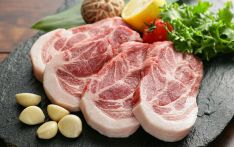 英媒：猪肉生产和消费大国丹麦鼓励民众吃素