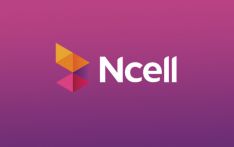 Ncell sale row: Too many panels may complicate probe
