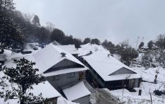 ताप्लेजुङको उच्च हिमाली क्षेत्रमा हिमपात हुँदा किसान खुसी