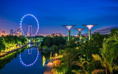 新媒：中国人期待赴新加坡免签旅游，景点和门票搜索量激增