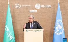 UN chief urges developed countries to fully honor climate commitments