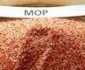 Maximum retail price of MOP fertiliser announced at Rs. 9,000