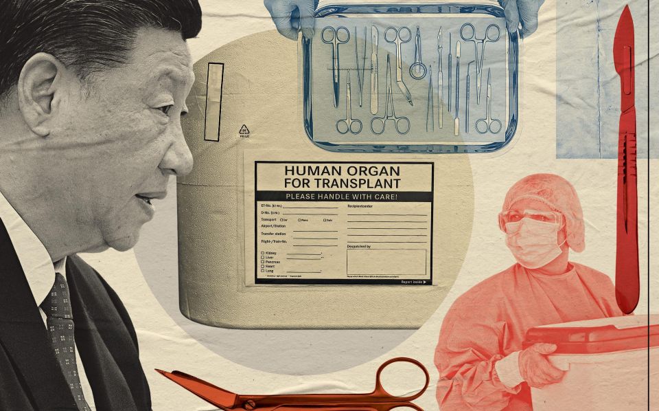 Is British science aiding and abetting the Chinese human organ trade?