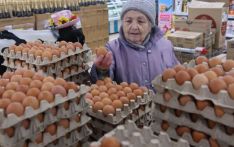 受俄乌冲突影响，俄罗斯鸡蛋价格飙升
