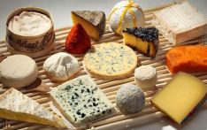 奶酪能扛得住全球变暖吗？
