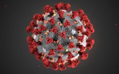 研究称新冠对健康长期危害大于流感