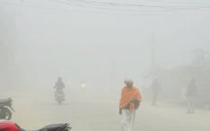 尼泊尔有关部门呼吁民众注意防寒