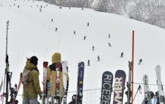 中国女游客在日滑雪身亡，中方促日彻查事故原因