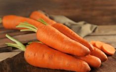 常吃胡萝卜可降低患癌风险