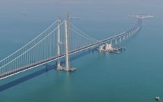 港媒：中国着力优化大湾区营商环境