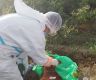 Third rabies outbreak in Samtse