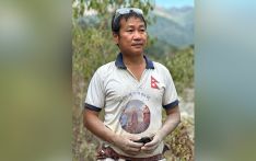 ‘म भिआइपी हैन हजुर’: हर्क साम्पाङ