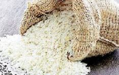 Testing delay hinders Basmati rice imports from Pakistan