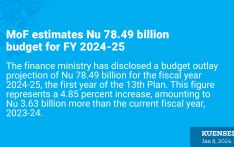 MoF estimates Nu 78.49 billion budget for FY 2024-25