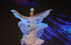 २०२४ वसन्तको स्वर्ण सपनाको आवाज: चाइनिज ताई एरिएट मयूरको नृत्य
